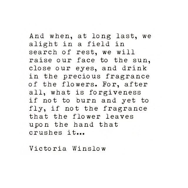 #victoriawinslow #writing #writer #writersofinstagram #quotes