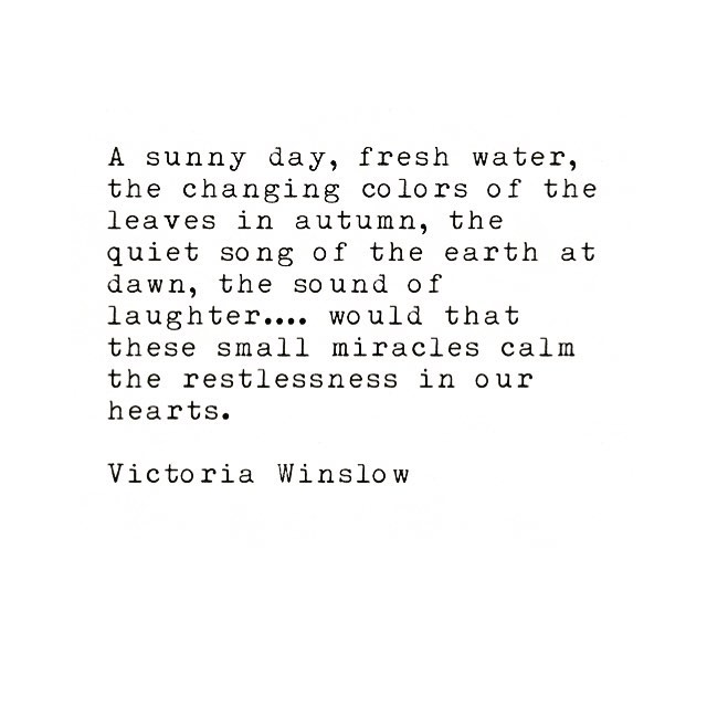 #victoriawinslow #writing  #writer  #writersofinstagram #quotes