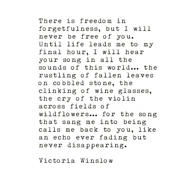 #victoriawinslow #writing #writer #writersofinstagram #quotes