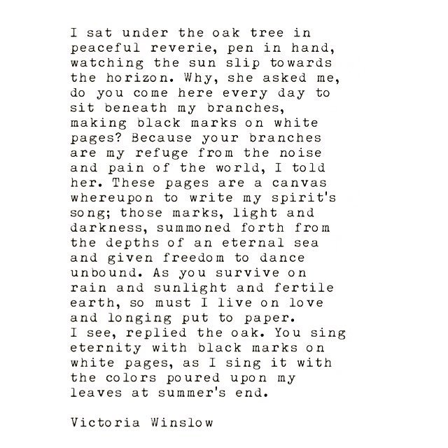 #victoriawinslow #writer #writing #poetry #prose #quotes #conversationswithanoaktree