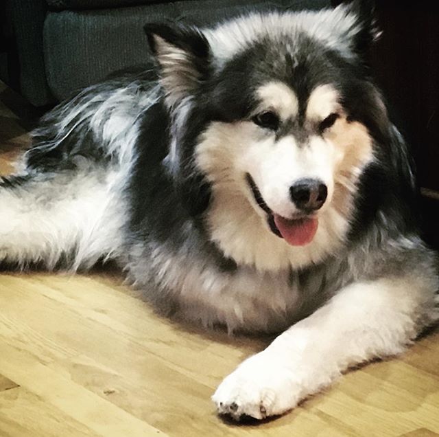 ♥️