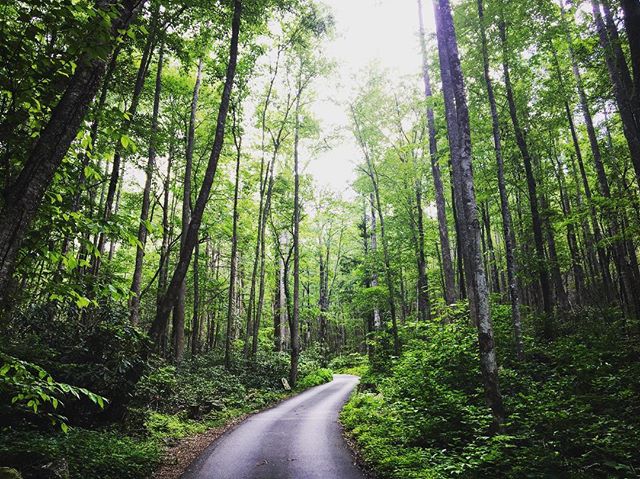 #tennessee #mountains