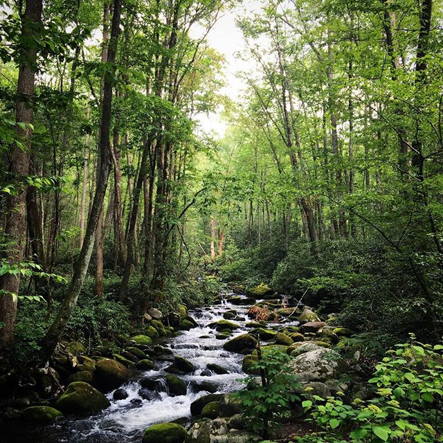 #tennessee #mountains