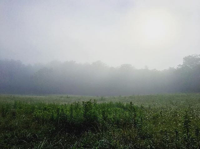 #tennessee #mountains #sunrise