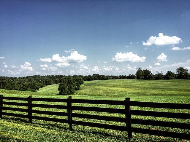 #tennessee #summer
