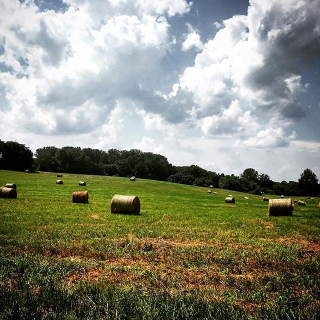 #tennessee #summer