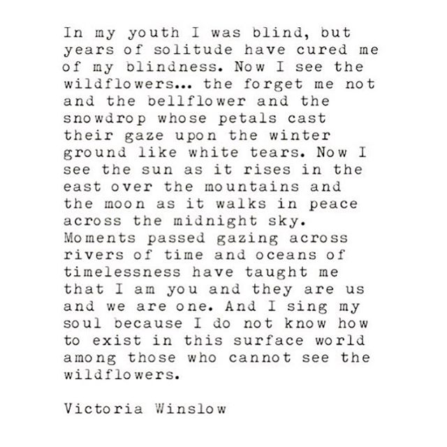 #victoriawinslow #writer #writing #poetry #quotes #soulsong