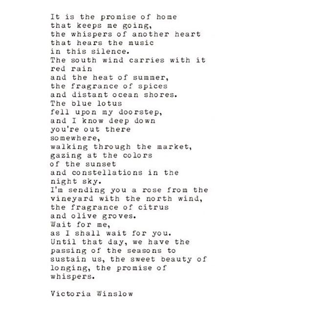 #victoriawinslow #writer #writing #poetry #quotes #love #soulsong