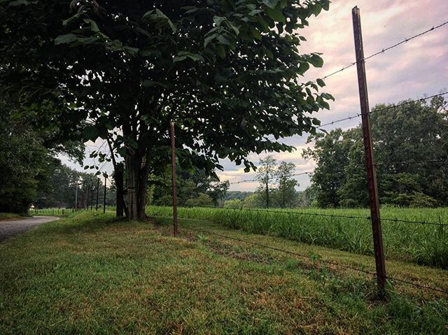 #tennessee #summer #home