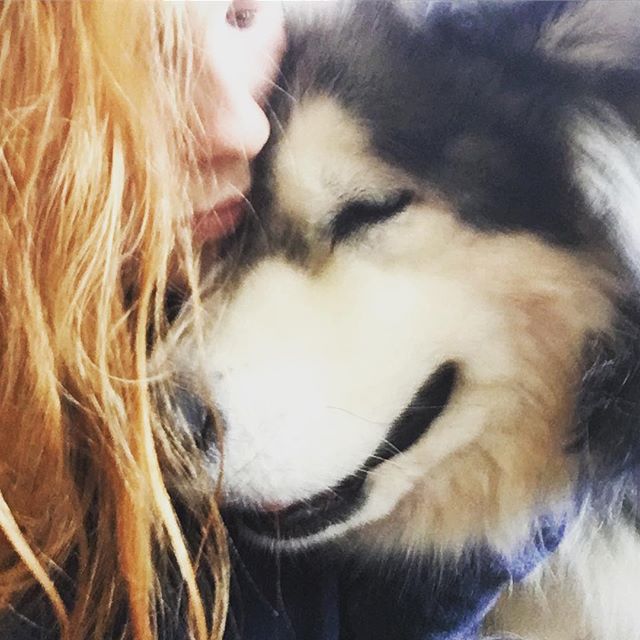 Gonna miss this fluffy face