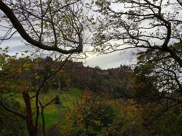 leaves and trees and castles 🍁🍃🍂