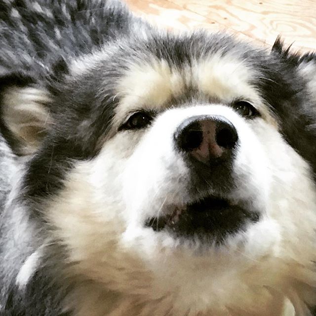 amore mio ❤️