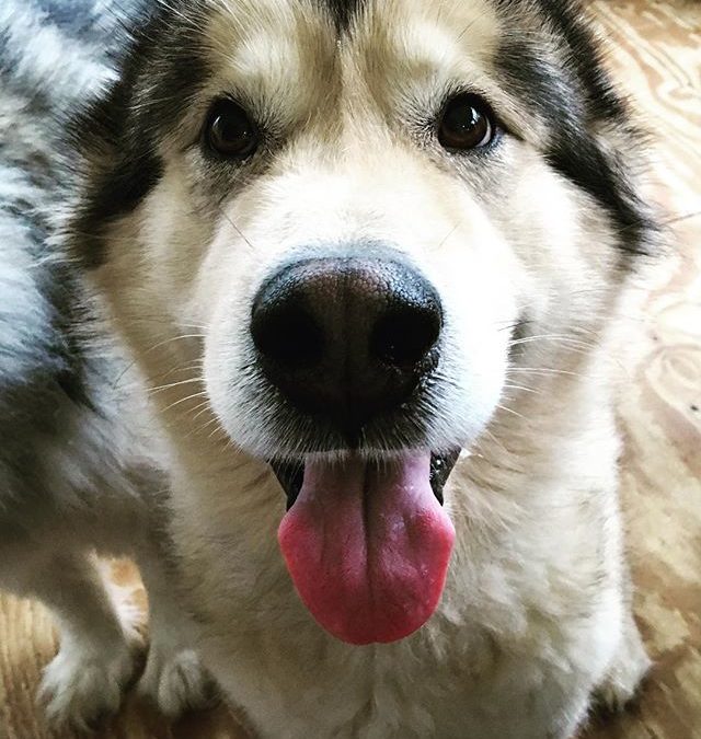 Jonah is super pleased with himself, as usual.