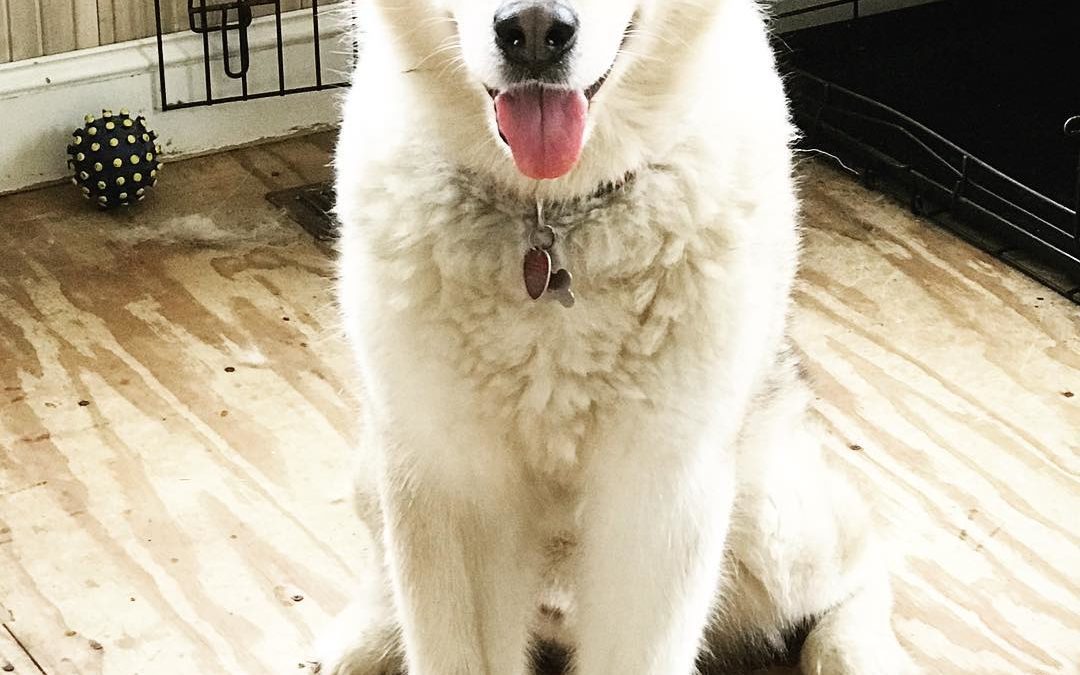 ♥️