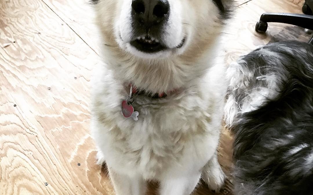 ♥️😍