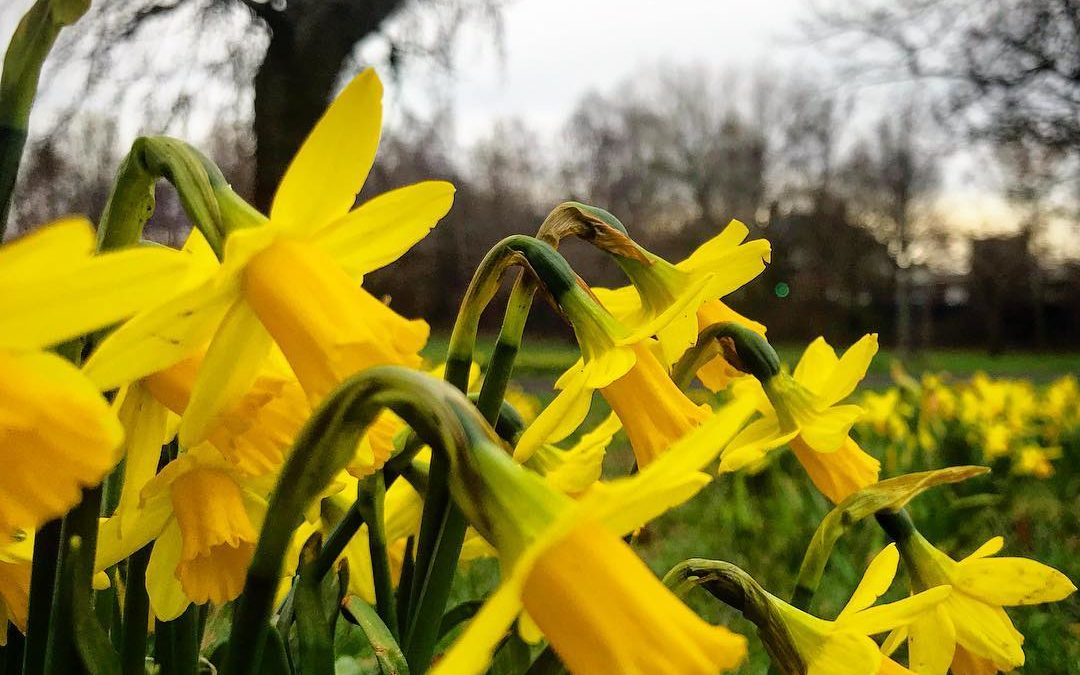 Spring is coming! 🌼🌻🌞