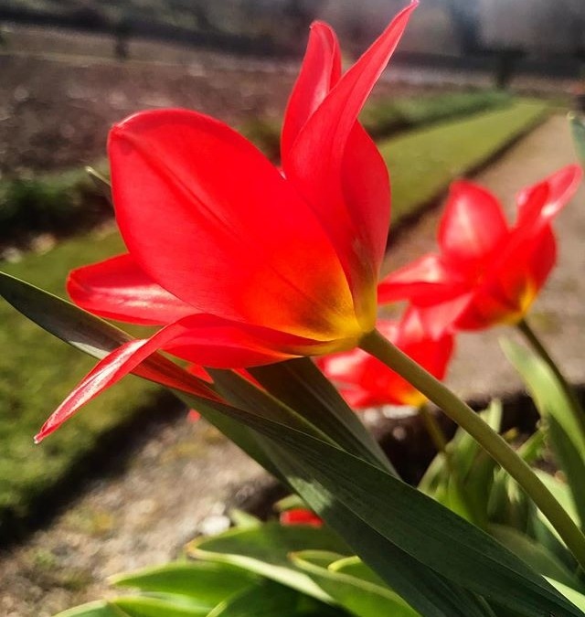 May 3, 2019 (3:24 pm)