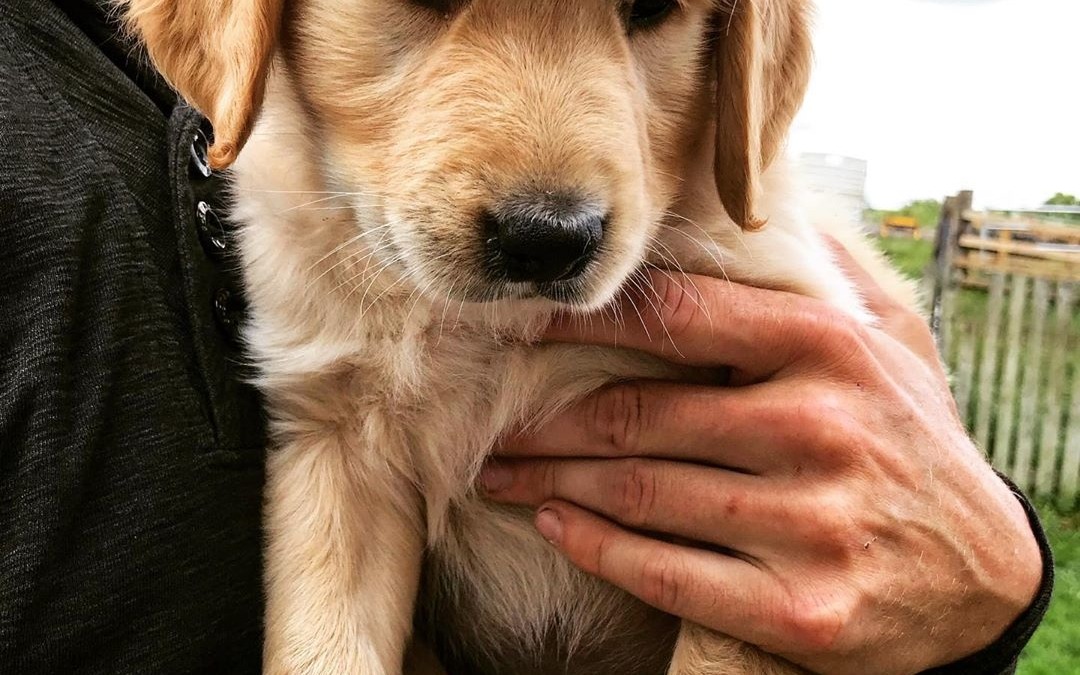 Meet the newest member of the family ♥️