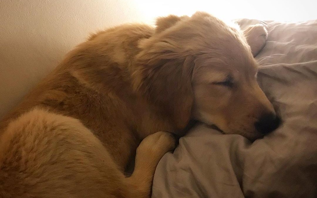 ♥️