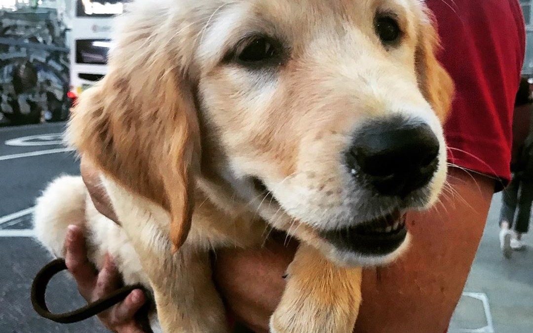 ♥️