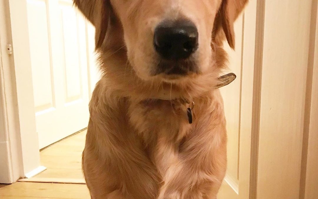 ♥️