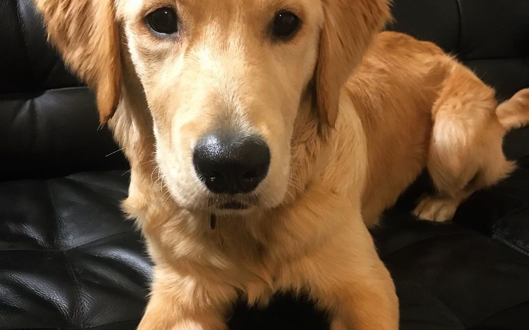 ♥️