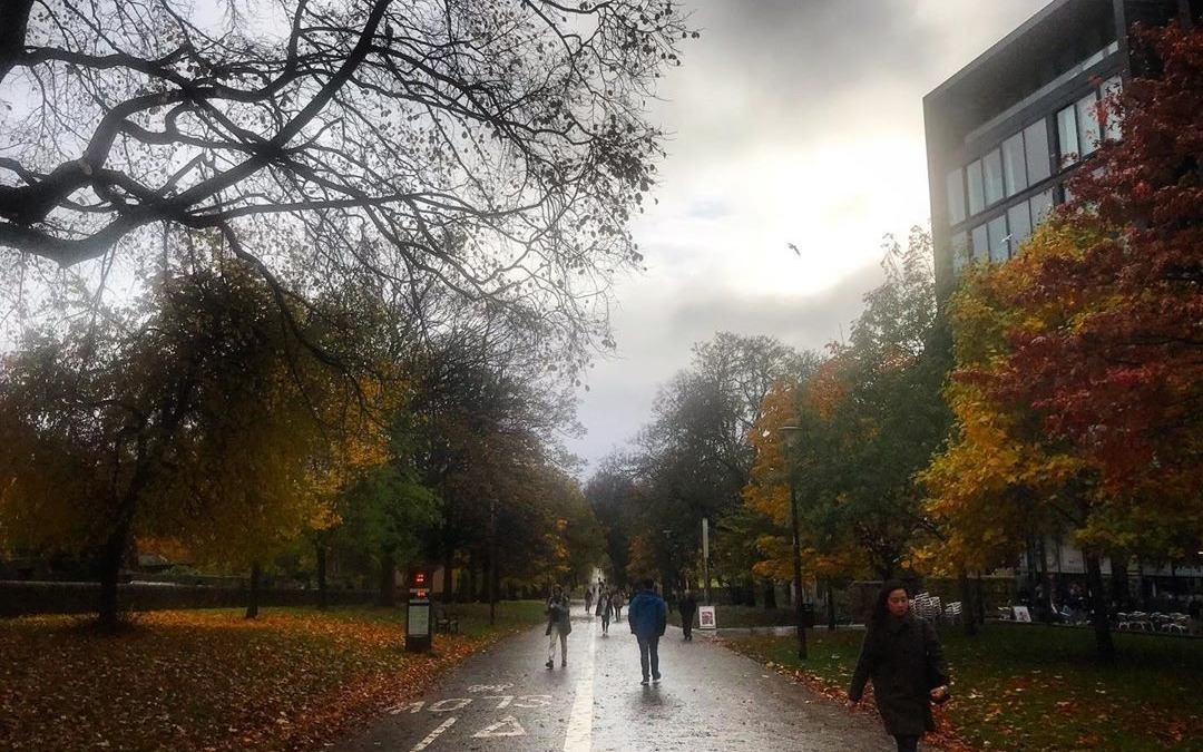 November 5, 2019 (4:05 pm)