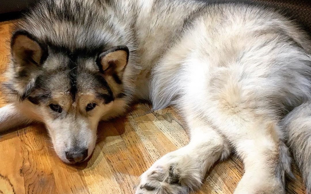♥️