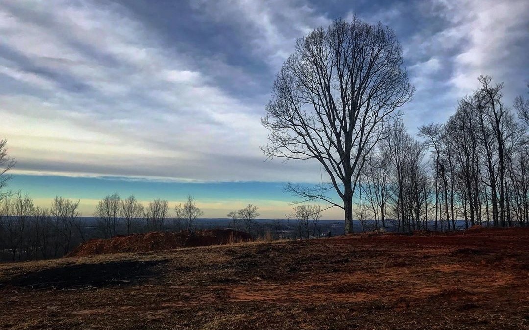 Tennessee ♥️