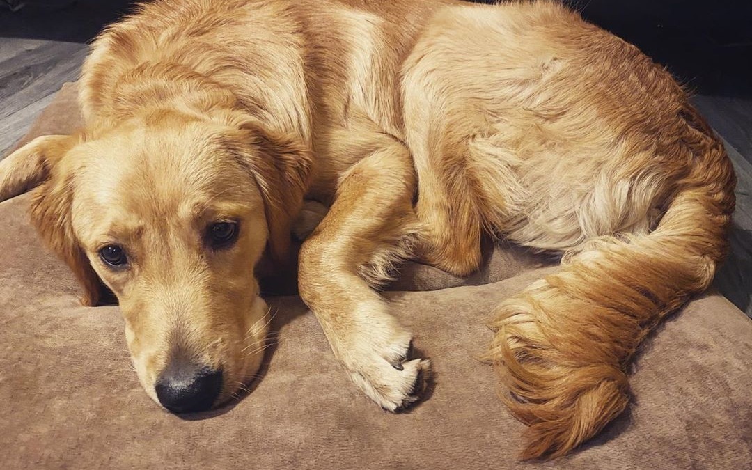 ♥️♥️♥️