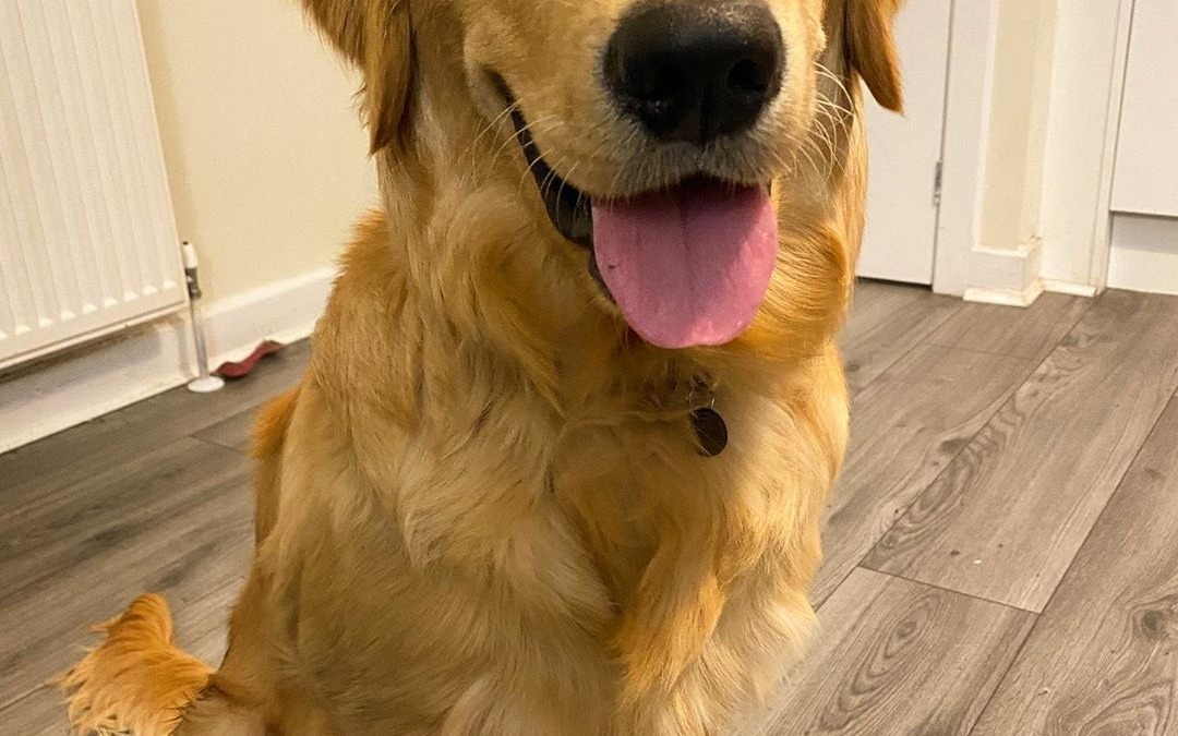 ♥️