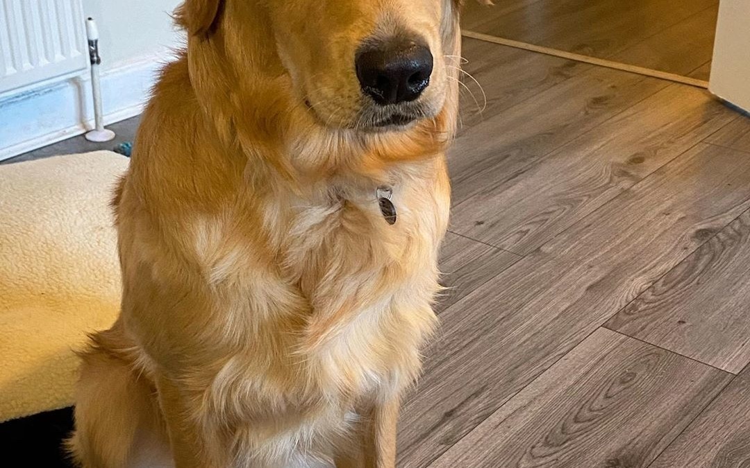 ♥️♥️♥️♥️♥️