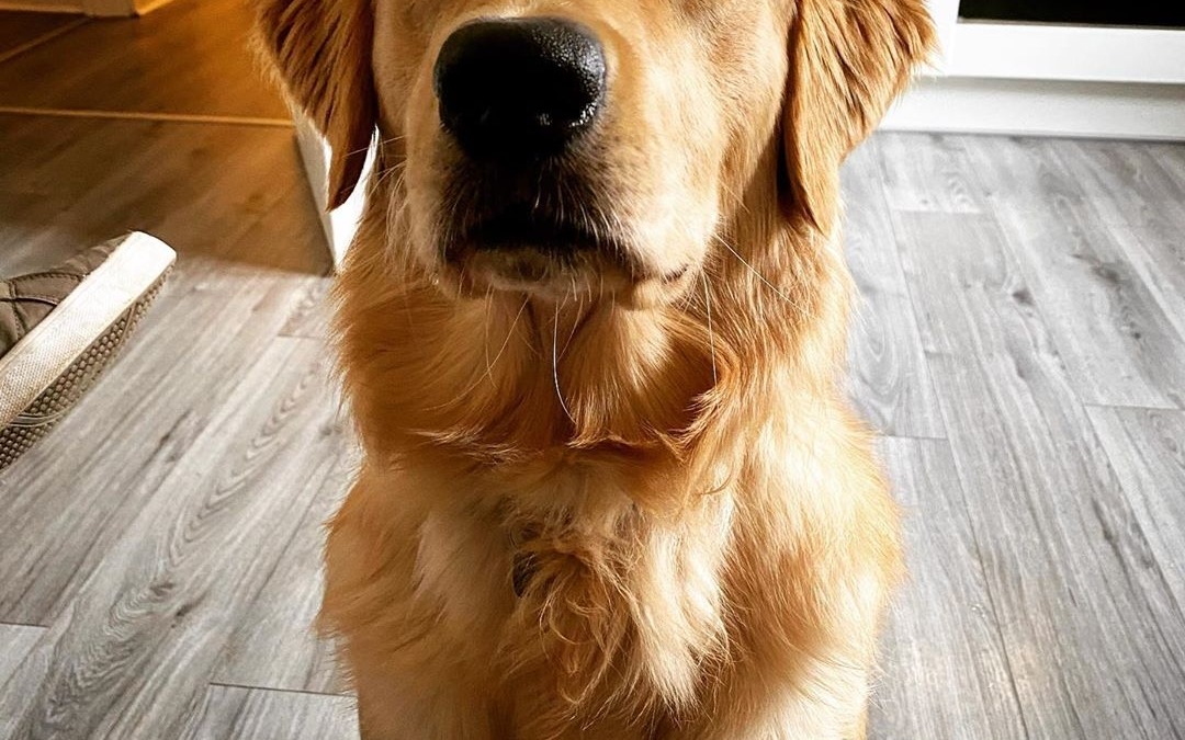 View from any time I eat anything.